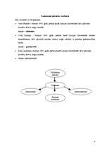 Biznesa plāns 'Biznesa plāns SIA "Zviedre"', 6.