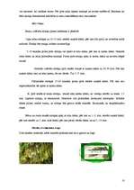 Biznesa plāns 'Biznesa plāns SIA "Zviedre"', 18.