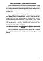 Biznesa plāns 'Biznesa plāns SIA "Zviedre"', 20.