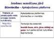 Prezentācija 'Nord Stream dabas gāzes vads un tā būvniecība', 33.