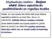 Prezentācija 'Nord Stream dabas gāzes vads un tā būvniecība', 38.