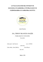 Referāts 'SIA "Terion" bilances analīze', 1.