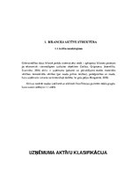 Referāts 'SIA "Terion" bilances analīze', 5.