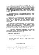 Referāts 'SIA "Terion" bilances analīze', 8.