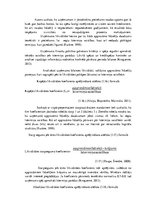 Referāts 'SIA "Terion" bilances analīze', 13.