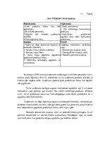 Referāts 'SIA "Terion" bilances analīze', 18.