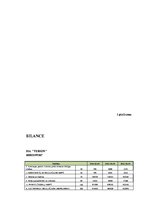 Referāts 'SIA "Terion" bilances analīze', 27.