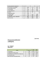 Referāts 'SIA "Terion" bilances analīze', 28.