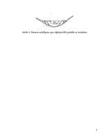 Referāts 'Šķidruma kustība upju gultnēs', 8.
