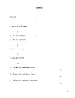 Referāts 'Ceļa servitūtu tiesiskais regulējums un tā nodibinājums', 2.