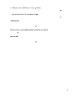 Referāts 'Ceļa servitūtu tiesiskais regulējums un tā nodibinājums', 3.