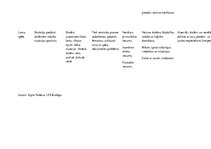 Konspekts 'Didaktikas metodes', 3.