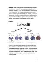 Konspekts 'Asins sastāvs', 3.