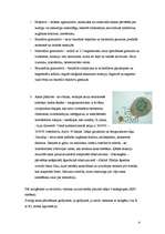 Konspekts 'Asins sastāvs', 4.