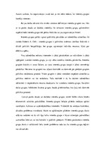 Referāts 'Interešu grupas Latvijā; diplomātijas veidi spiegošanas kontekstā', 5.