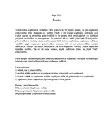 Referāts 'Kā pielietot grāmatvedības zināšanas uzņēmējdarbībā', 2.