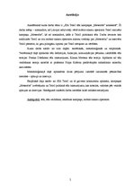 Referāts 'SIA Tele2 tēls kampaņas "Meteorīts" kontekstā', 2.