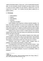 Referāts 'SIA Tele2 tēls kampaņas "Meteorīts" kontekstā', 10.