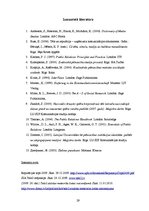 Referāts 'SIA Tele2 tēls kampaņas "Meteorīts" kontekstā', 29.