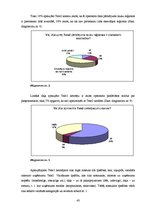 Referāts 'SIA Tele2 tēls kampaņas "Meteorīts" kontekstā', 43.