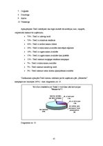 Referāts 'SIA Tele2 tēls kampaņas "Meteorīts" kontekstā', 45.