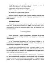 Referāts 'Datorpirātisms', 5.