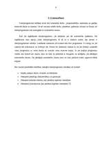 Referāts 'Datorpirātisms', 8.