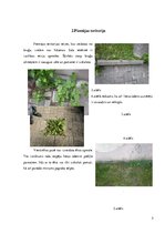 Paraugs 'Būvju uzturēšana', 5.
