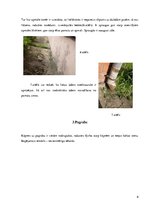 Paraugs 'Būvju uzturēšana', 6.