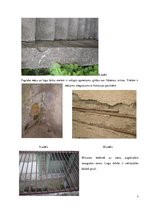 Paraugs 'Būvju uzturēšana', 7.