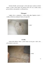 Paraugs 'Būvju uzturēšana', 12.