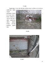 Paraugs 'Būvju uzturēšana', 27.