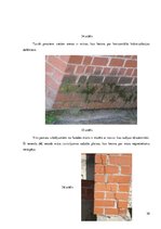 Paraugs 'Būvju uzturēšana', 30.