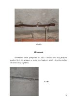 Paraugs 'Būvju uzturēšana', 34.