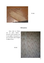 Paraugs 'Būvju uzturēšana', 37.