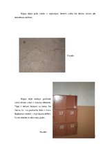 Paraugs 'Būvju uzturēšana', 41.