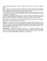 Konspekts 'Īpašuma jēdziens diskurss tiesību filosofijā', 4.