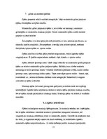 Referāts 'Basketbolistu spēka fiziskā sagatavošana', 13.
