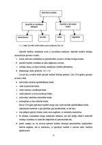 Diplomdarbs 'Fiskālā politika', 15.