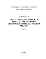 Referāts 'Cenu stratēģija, produkta izplatīšanas kanāli un virzīšanas stratēģija, piemēra ', 1.