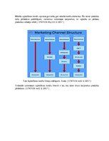 Referāts 'Cenu stratēģija, produkta izplatīšanas kanāli un virzīšanas stratēģija, piemēra ', 8.