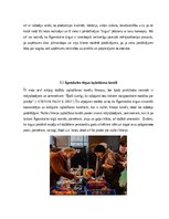 Referāts 'Cenu stratēģija, produkta izplatīšanas kanāli un virzīšanas stratēģija, piemēra ', 11.