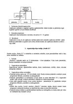 Konspekts 'Divu organizāciju salīdzinājums', 2.