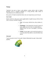 Referāts 'Krāsas, to ietekme uz cilvēku', 8.