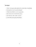 Referāts 'Krāsas, to ietekme uz cilvēku', 17.