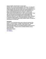 Referāts 'Korporatīvo tīklu monitorings', 11.