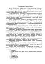 Prakses atskaite 'Prakse muzejā', 3.