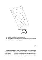 Diplomdarbs 'Literatūra kā bērnu radošās darbības sekmētāja vecākajā pirmsskolas vecumā', 14.
