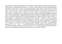 Referāts 'Baroks', 3.