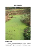 Referāts 'Ūdenstilpņu eitrofikācija', 1.